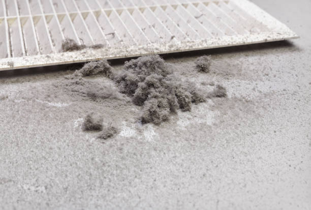 Best Air Duct Cleaning Near Me in MI
