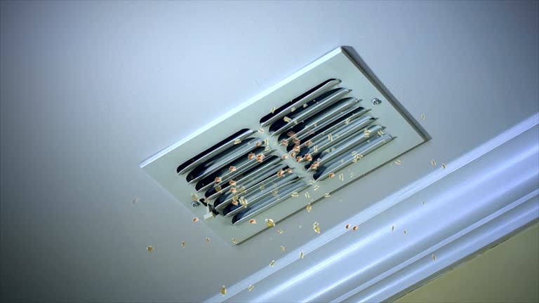 Best Local Air Duct Cleaning Services  in Montrose, MI