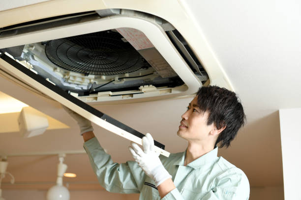 Best Home Air Vent Cleaning  in Montrose, MI