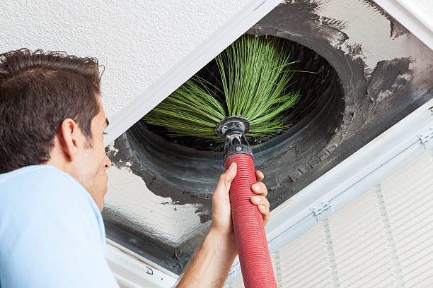 Best Affordable HVAC Duct Cleaning  in Montrose, MI